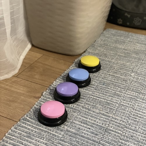 Ljudknappar för Hund 4-pack – Inspelningsbara Pratknappar