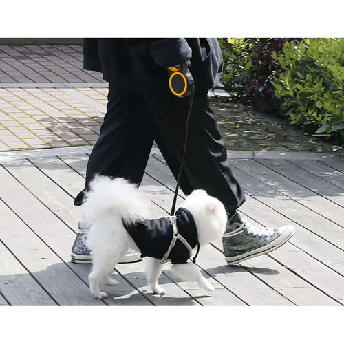 Automatiskt Hundkoppel 5 m – Utdragbart Koppel för Hundar upp till 15 kg