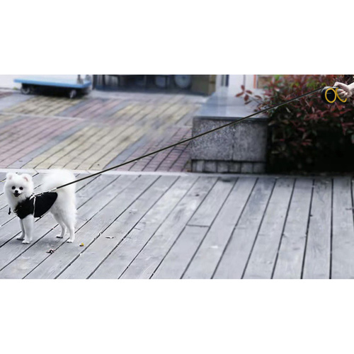 Automatiskt Hundkoppel 5 m – Utdragbart Koppel för Hundar upp till 15 kg