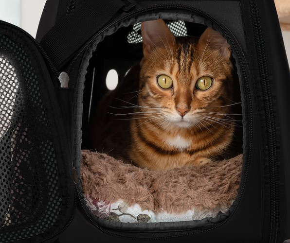 Transportväska för Hund & Katt – Ventilation & 6 kg