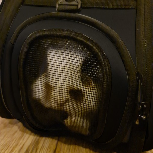 Transportväska för Hund & Katt – Ventilation & 6 kg