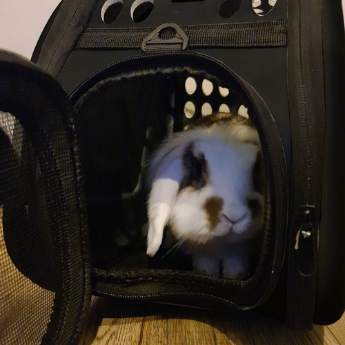 Transportväska för Hund & Katt – Ventilation & 6 kg