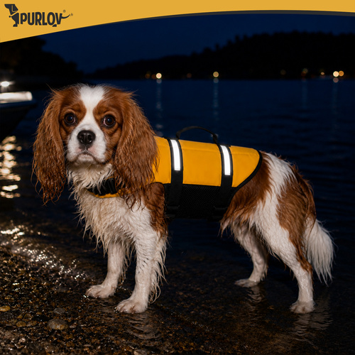 Flytväst för Hund M – Hundflytväst med Handtag, Reflex & Koppelfäste
