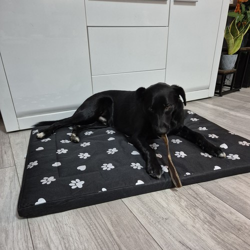 Hundbädd 100 x 70 cm – Vattentät Hundmadrass med Avtagbart Överdrag