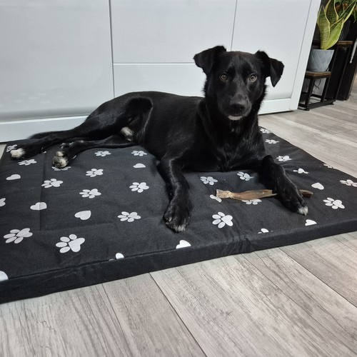 Hundbädd 100 x 70 cm – Vattentät Hundmadrass med Avtagbart Överdrag