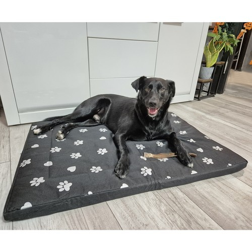 Hundbädd 100 x 70 cm – Vattentät Hundmadrass med Avtagbart Överdrag