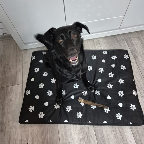 Hundbädd 100 x 70 cm – Vattentät Hundmadrass med Avtagbart Överdrag