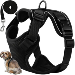 Tryckfri Hundsele Storlek M – Reflekterande Sele med Koppel 150 cm