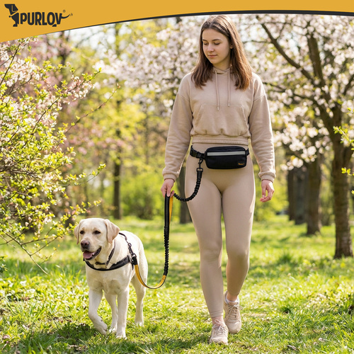 Midjebälte med Koppel – Handsfree Hundkoppel med Stötdämpare & Midjeväska