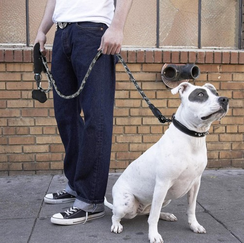 Reflekterande Hundkoppel 3 m – Träningskoppel med Mjukt Handtag & Bajspåsar