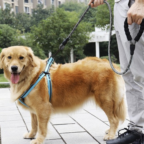 Reflekterande Hundkoppel 3 m – Träningskoppel med Mjukt Handtag & Bajspåsar