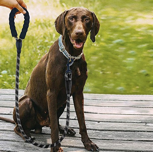 Reflekterande Hundkoppel 3 m – Träningskoppel med Mjukt Handtag & Bajspåsar