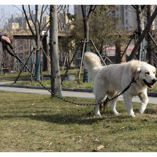 Reflekterande Hundkoppel 3 m – Träningskoppel med Mjukt Handtag & Bajspåsar