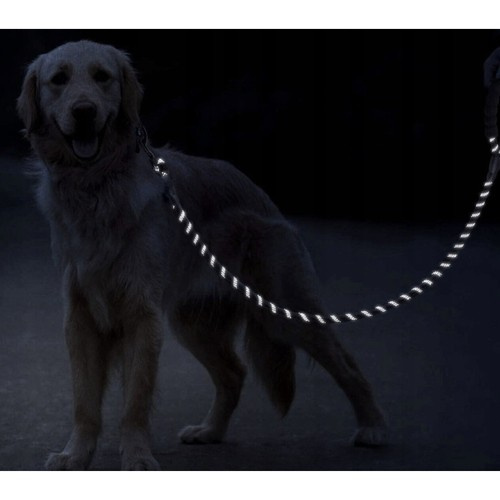 Reflekterande Hundkoppel 3 m – Träningskoppel med Mjukt Handtag & Bajspåsar