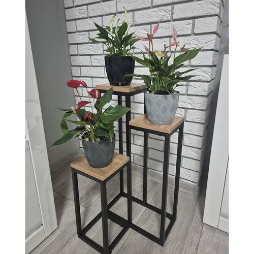 Blomställning 3 Nivåer 67 cm – Växtställ i Metall med Justerbara Fötter