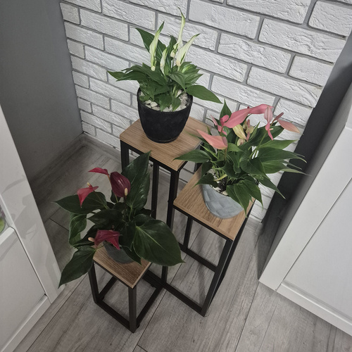 Blomställning 3 Nivåer 67 cm – Växtställ i Metall med Justerbara Fötter
