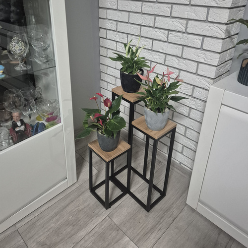 Blomställning 3 Nivåer 67 cm – Växtställ i Metall med Justerbara Fötter