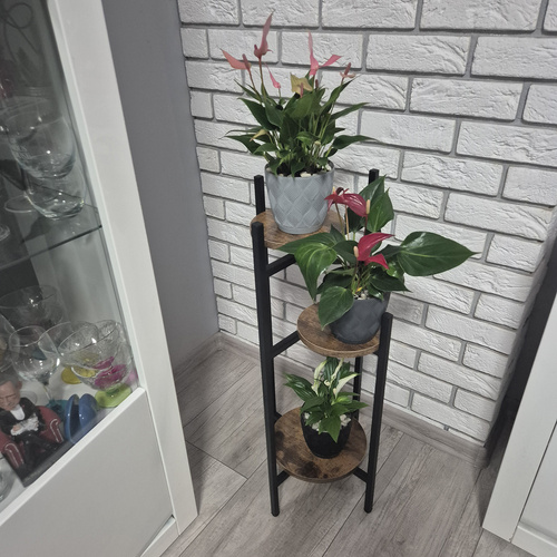 Blomställning 3 Nivåer 80 cm – Växtställ i Metall med Justerbara Fötter
