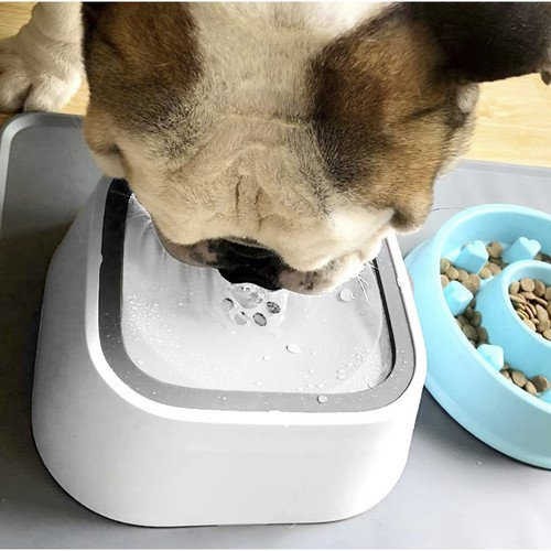 Vattenskål 1500 ml – Stänkskyddad Hund- & Kattskål med Reseskål
